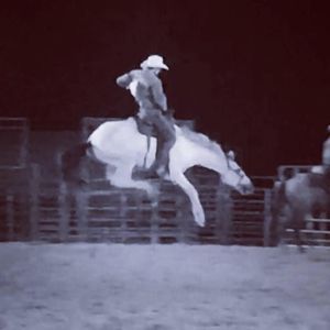 Meet your Posher, Tucker